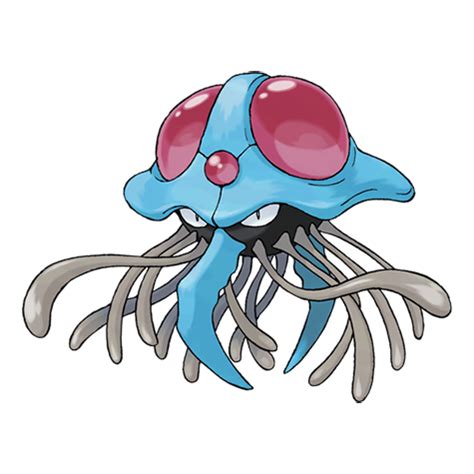 tentacruel evolution|tentacruel serebii.